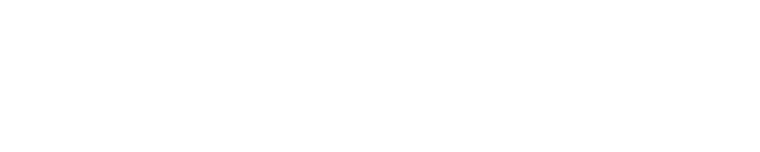 solopreneurrevolution-accountable-logo-white-neu solopreneurrevolution-accountable-logo-white-neu